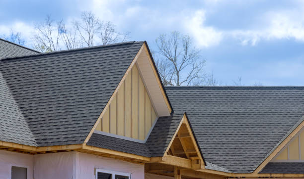 Best Roof Leak Repair  in Moline, IL