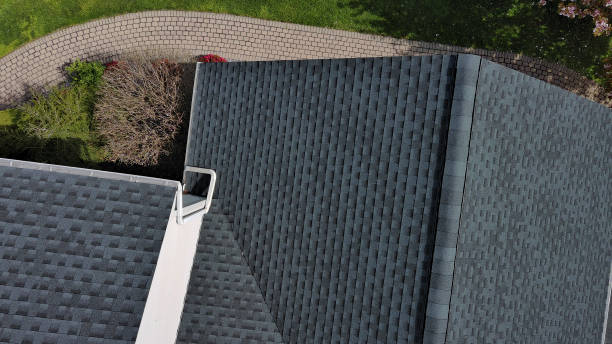 Best Solar Panel Roofing Installation  in Moline, IL